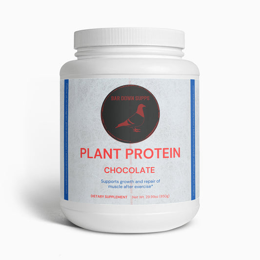 Plant Protein (Chocolate)